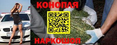 прущие грибы Коммунар