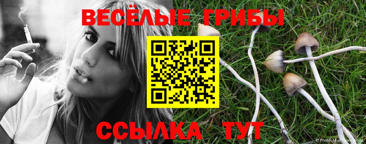 Коряжма  Галлюциногенные грибы MAGIC MUSHROOMS  Вход с VPN 